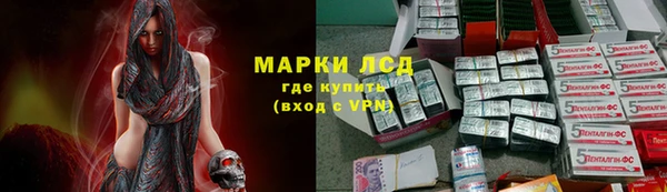 прущие грибы Приозерск