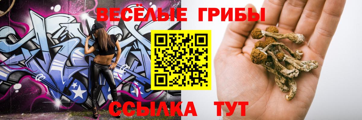 Псилоцибиновые грибы MAGIC MUSHROOMS  Лобня 