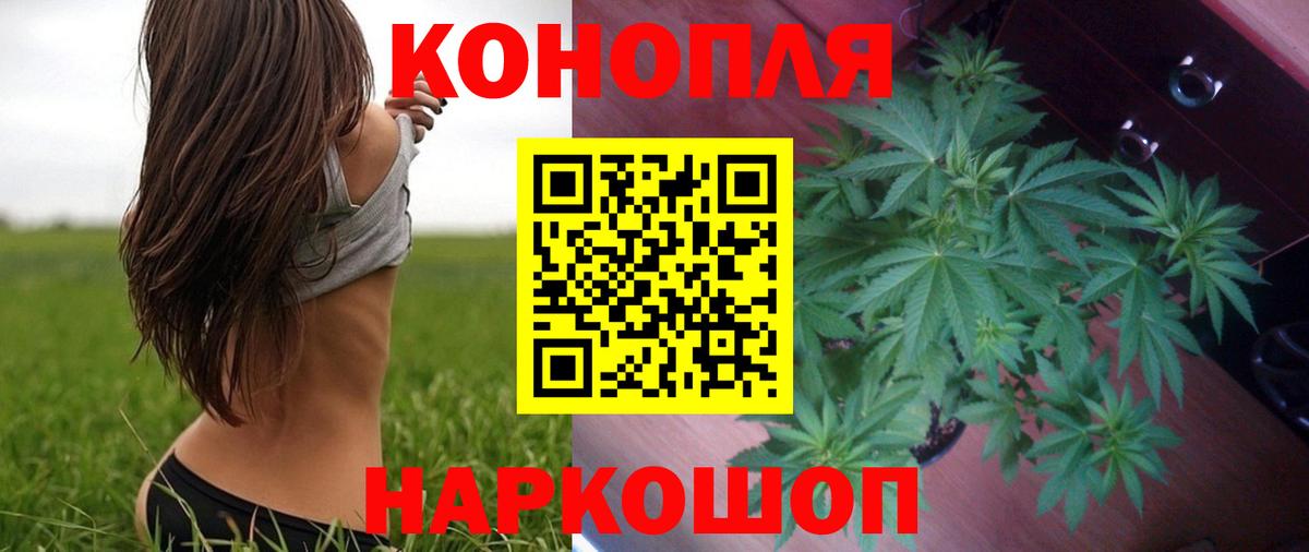 Каннабис гибрид Лобня